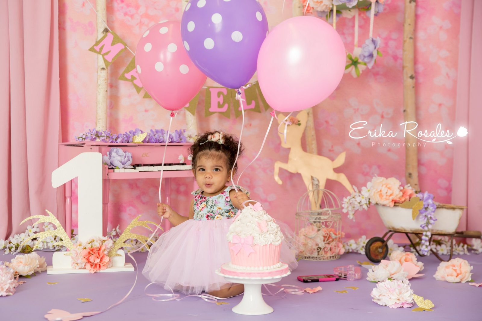 Erika Rosales Houston | Newborn-Smash Cake Maternity Photographer