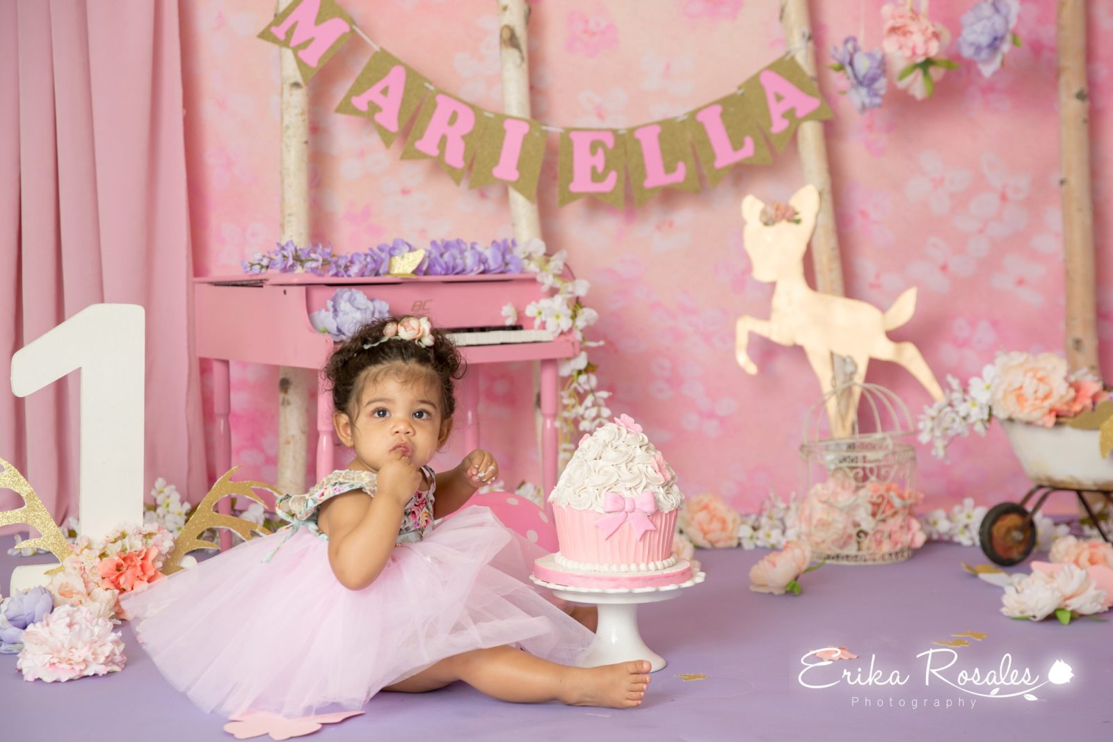 Erika Rosales New York Photo Studio | Family Portrait Studio in Bronx NY