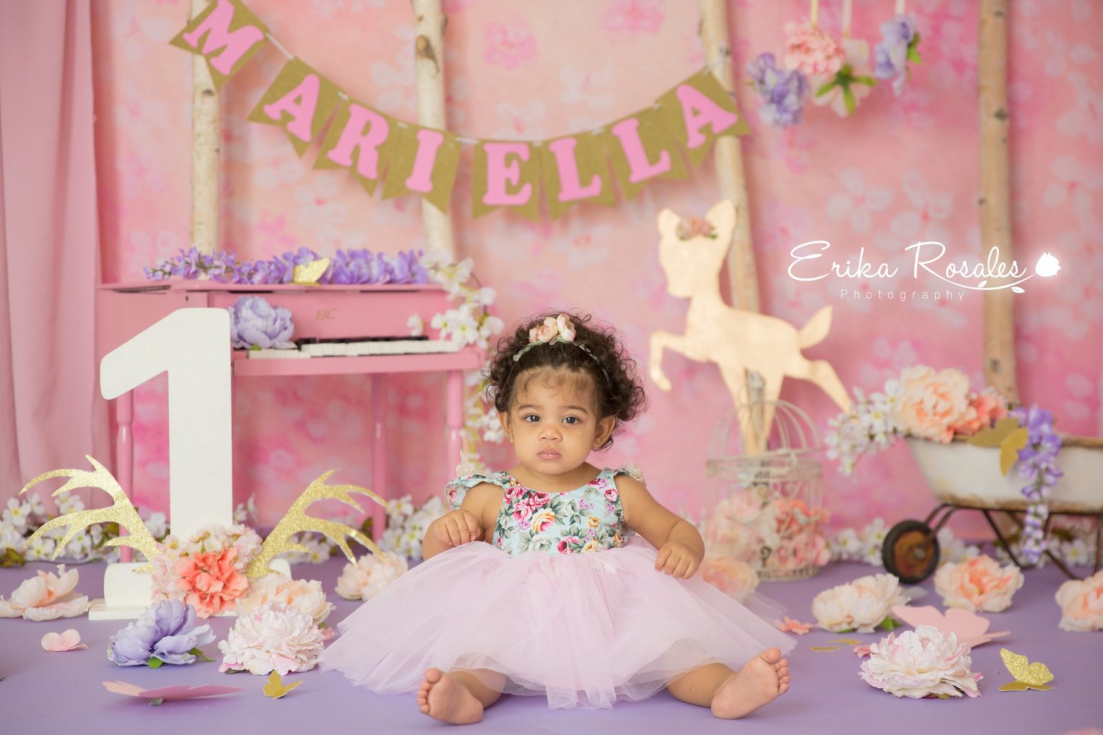 Erika Rosales Houston | Newborn-Smash Cake Maternity Photographer