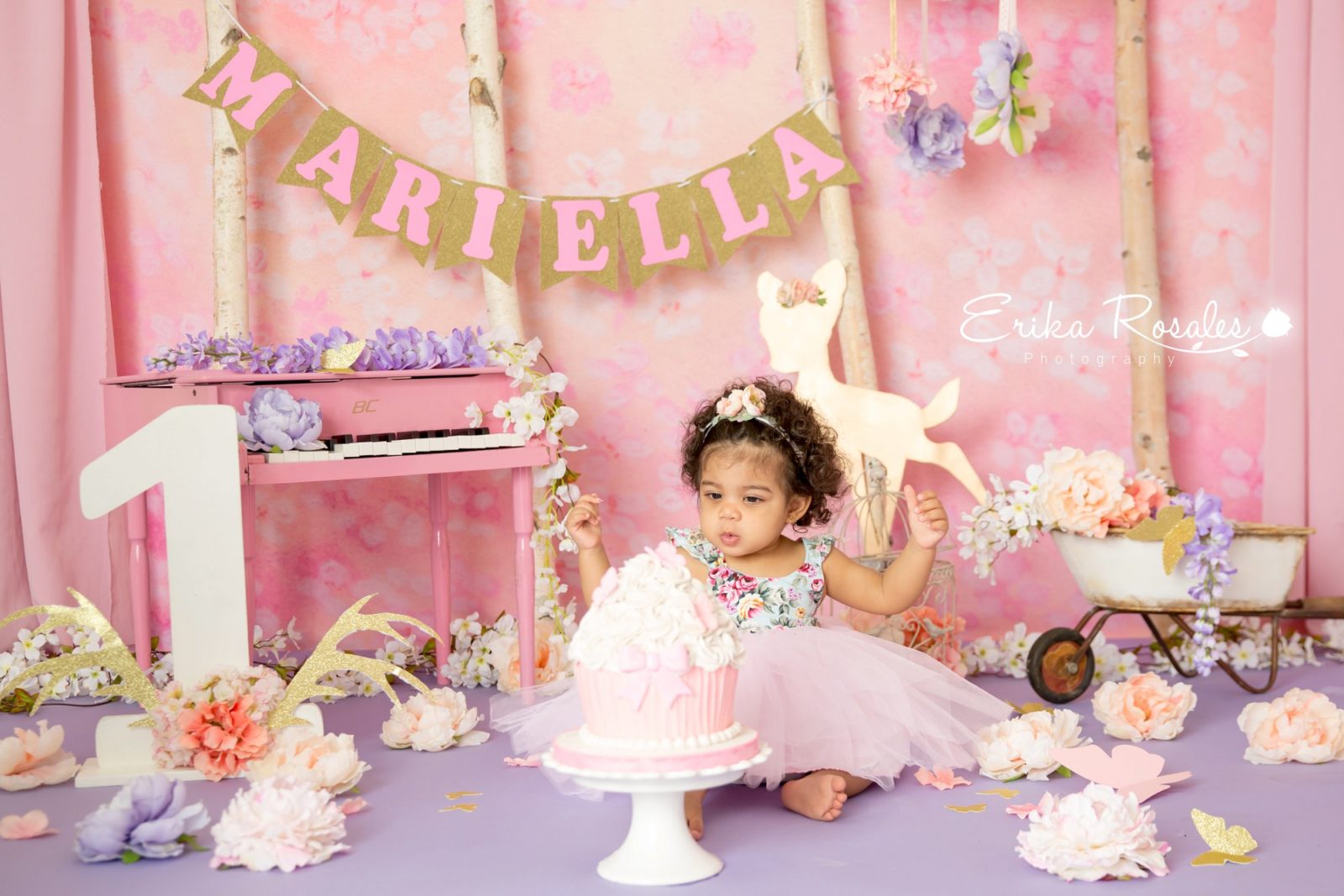 Erika Rosales Houston | Newborn-Smash Cake Maternity Photographer