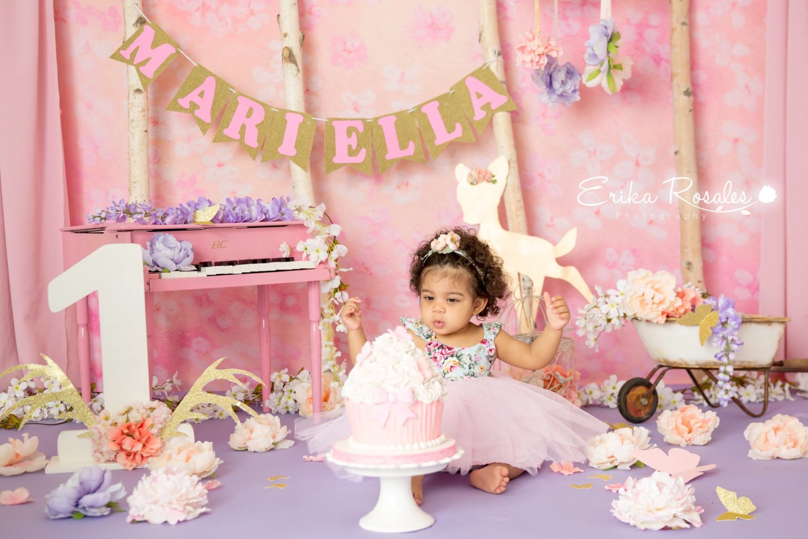 Erika Rosales New York Photo Studio | Family Portrait Studio in Bronx NY