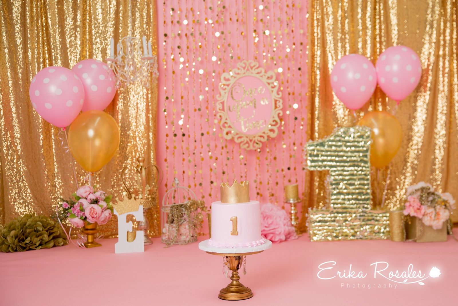 Erika Rosales Houston | Newborn-Smash Cake Maternity Photographer