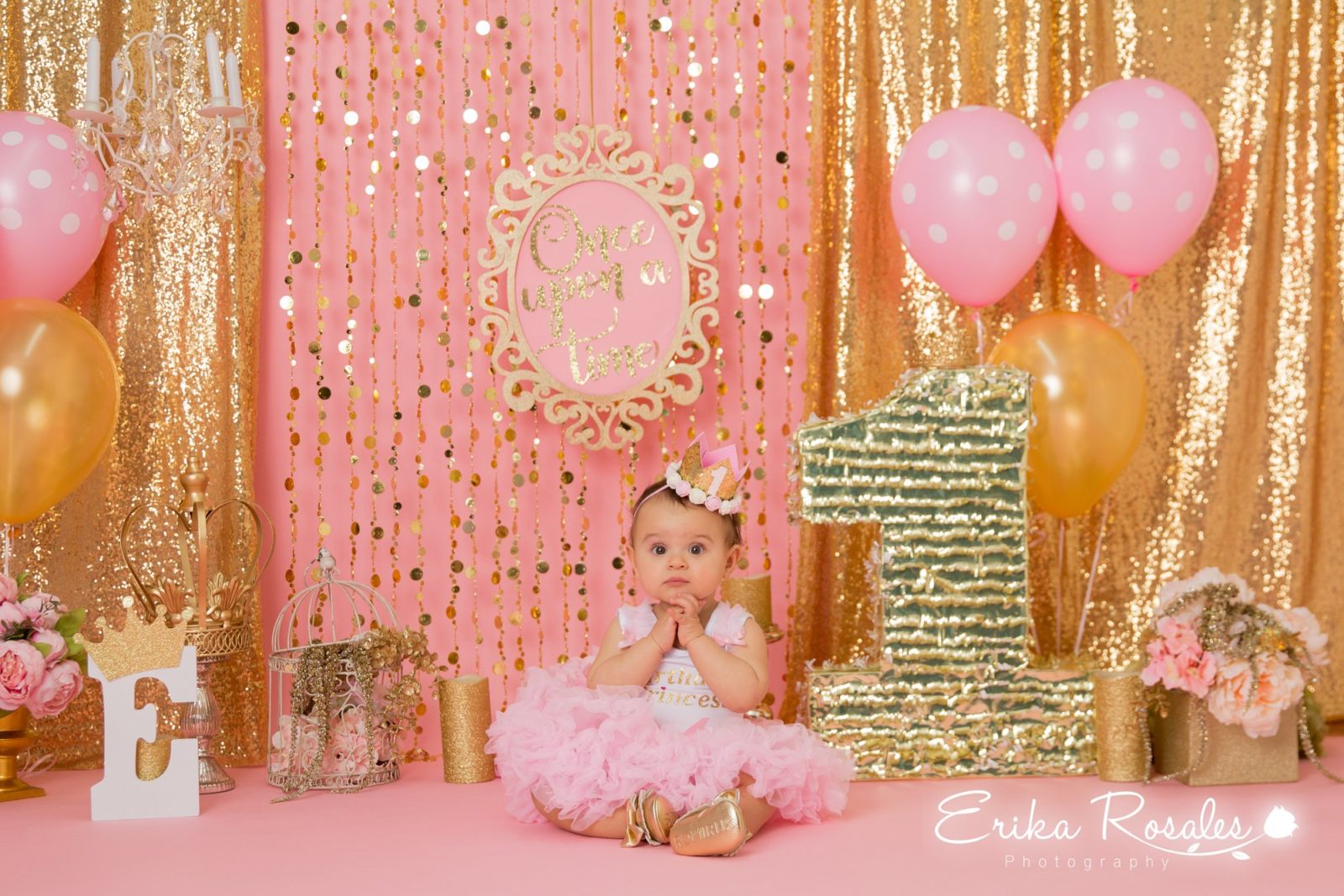 Erika Rosales Houston | Newborn-Smash Cake Maternity Photographer