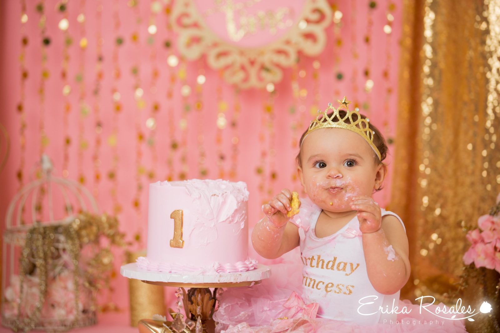 Erika Rosales Houston | Newborn-Smash Cake Maternity Photographer