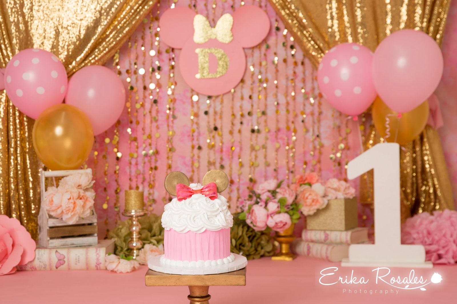 Erika Rosales Houston | Newborn-Smash Cake Maternity Photographer