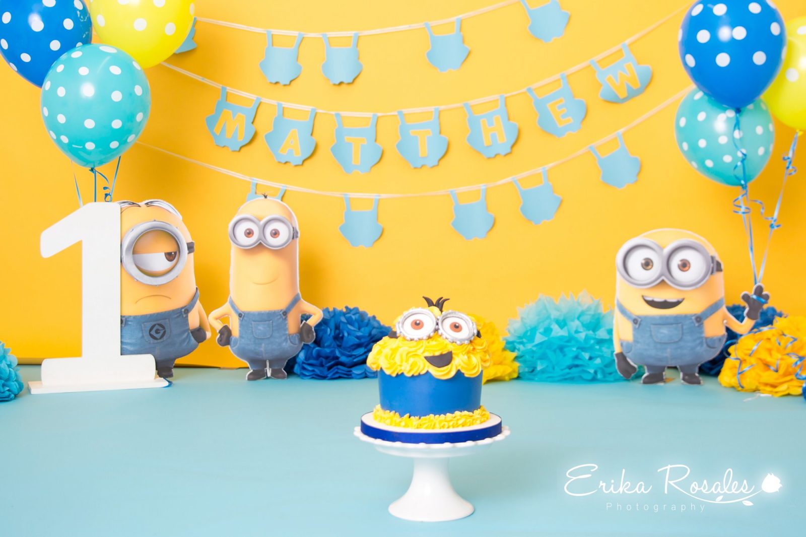 Erika Rosales Houston | Newborn-Smash Cake Maternity Photographer