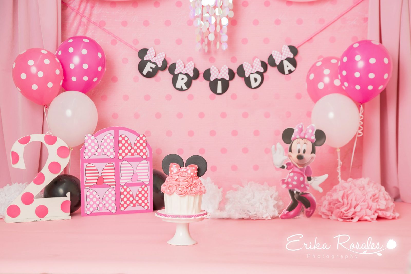 Erika Rosales Houston | Newborn-Smash Cake Maternity Photographer
