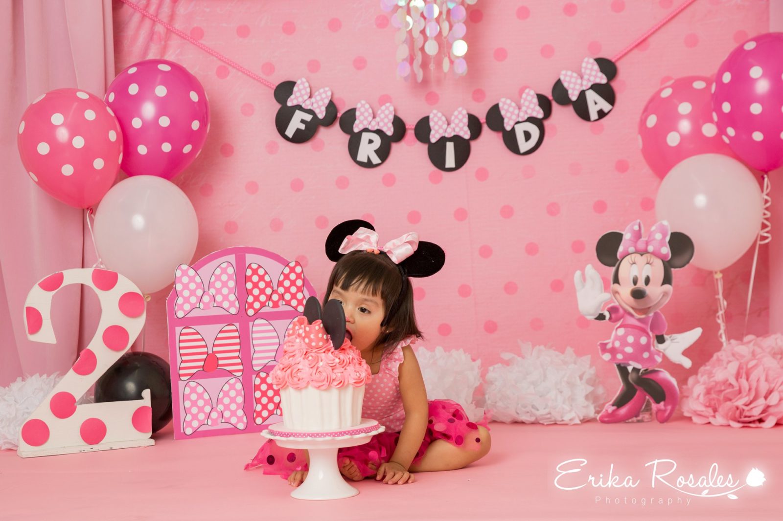 Erika Rosales Houston | Newborn-Smash Cake Maternity Photographer