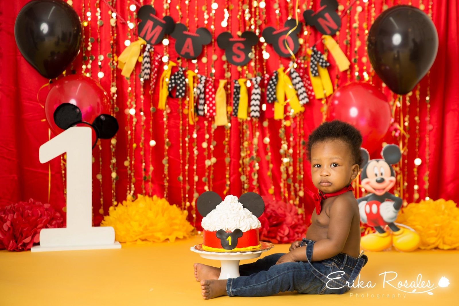 Erika Rosales Houston | Newborn-Smash Cake Maternity Photographer