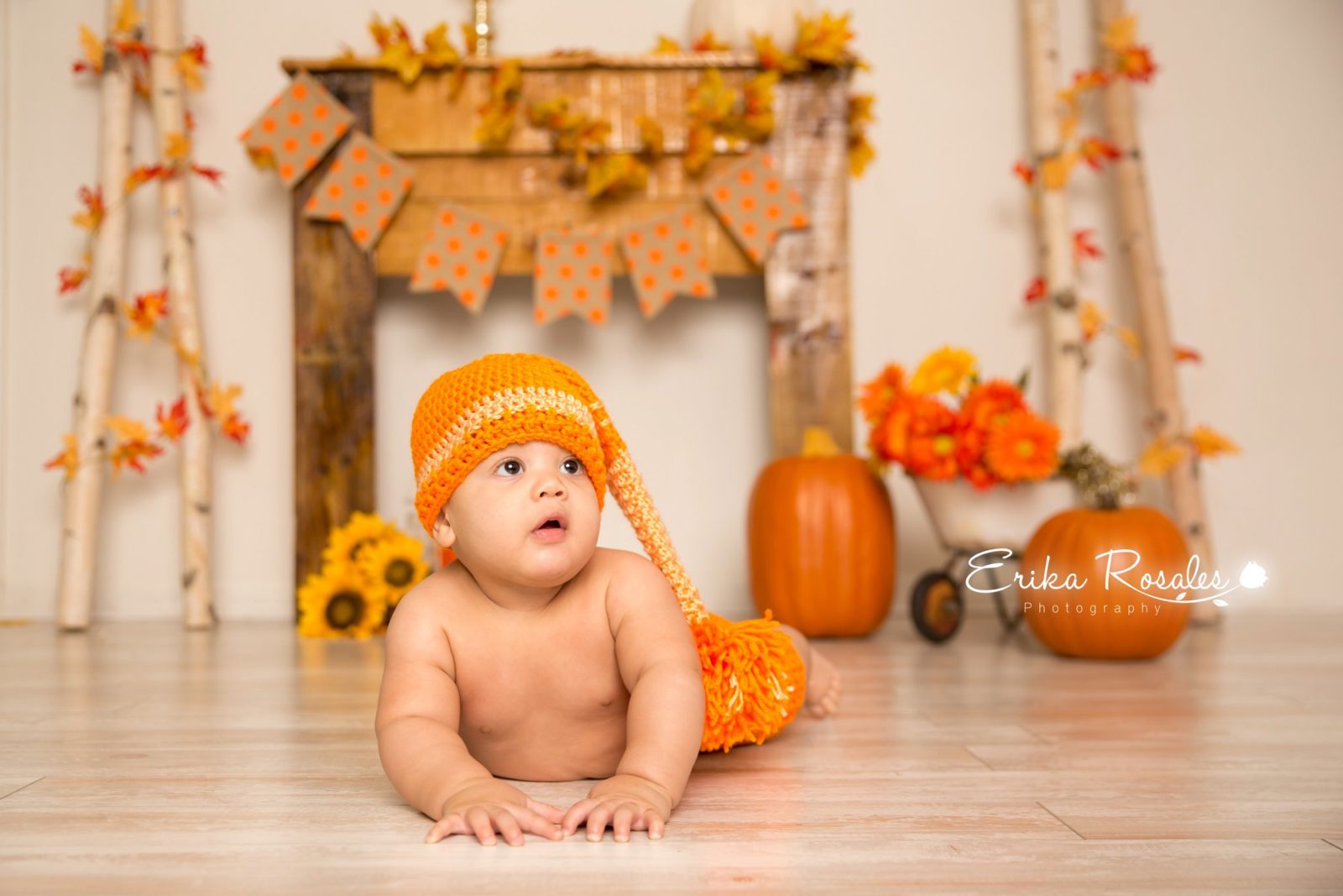 Erika Rosales Houston | Newborn-Smash Cake Maternity Photographer