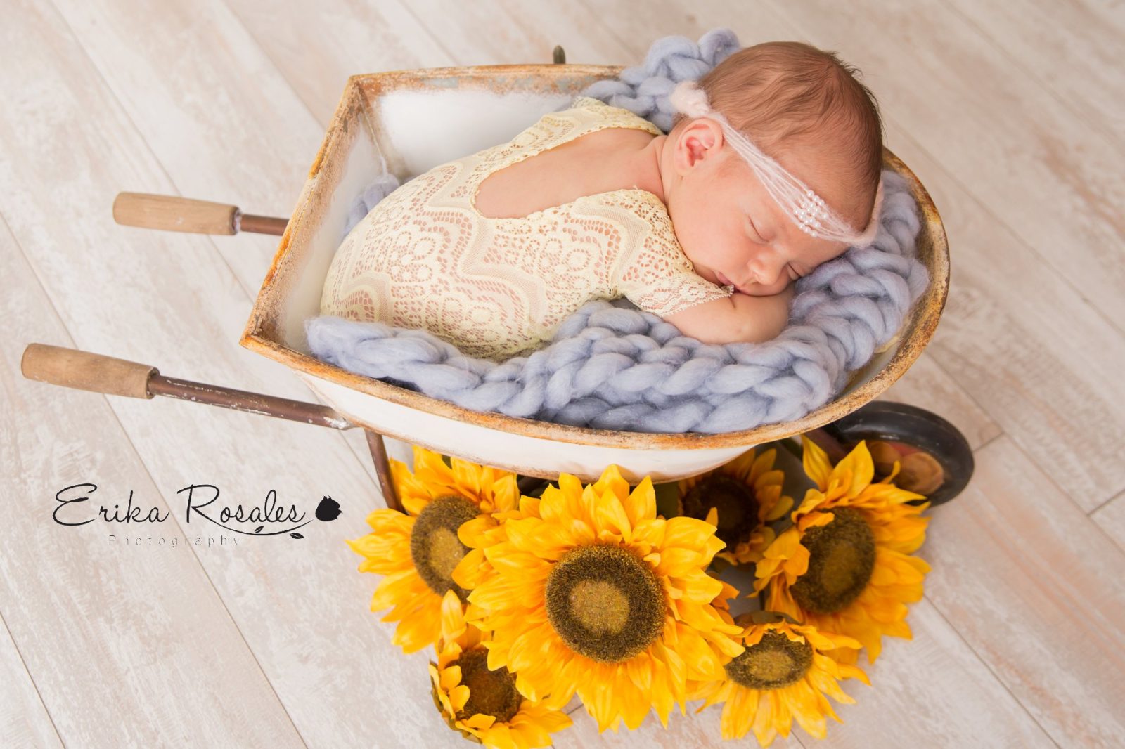 Erika Rosales Houston | Newborn-Smash Cake Maternity Photographer