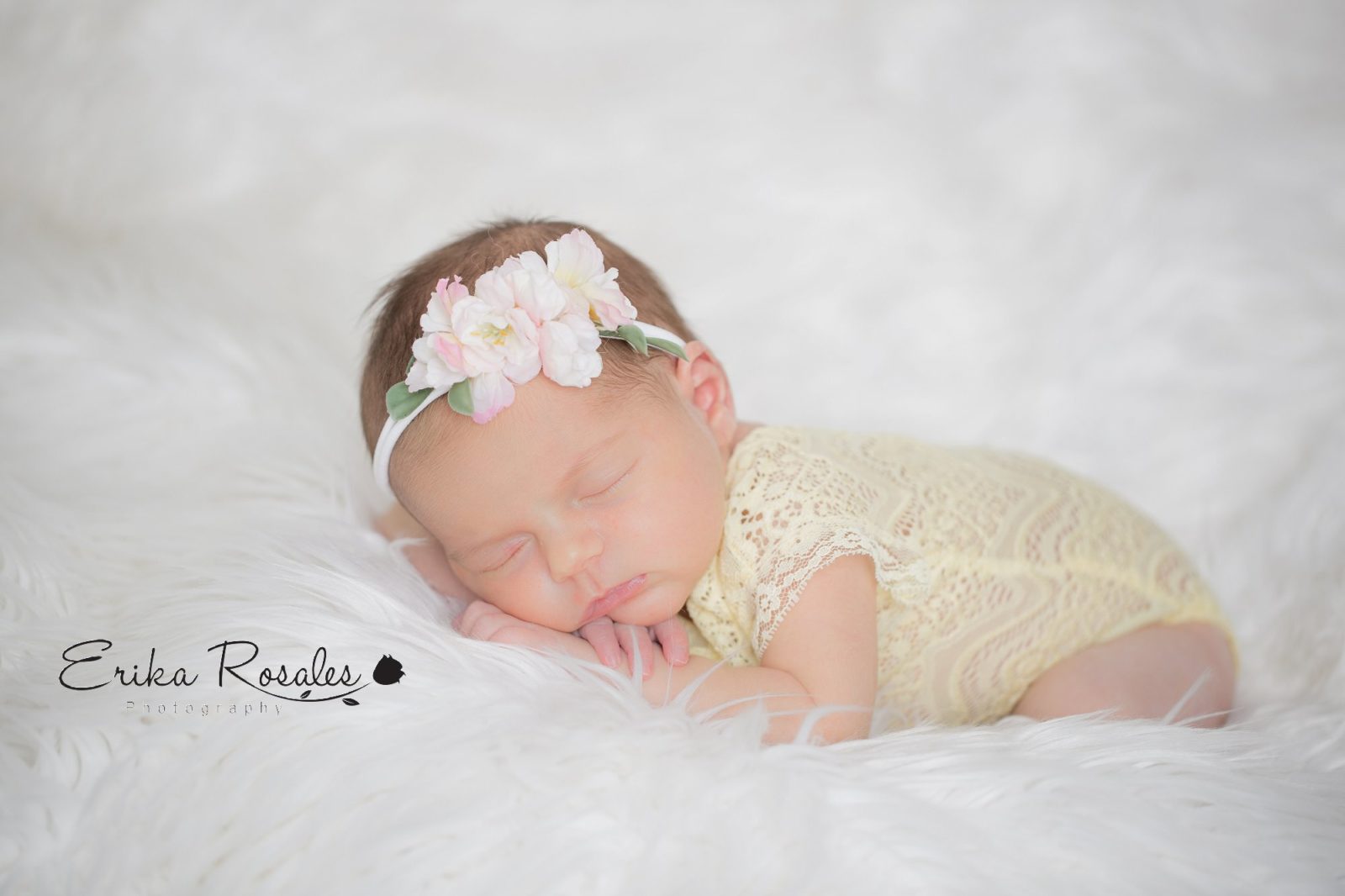 Erika Rosales New York Photo Studio | Family Portrait Studio in Bronx NY