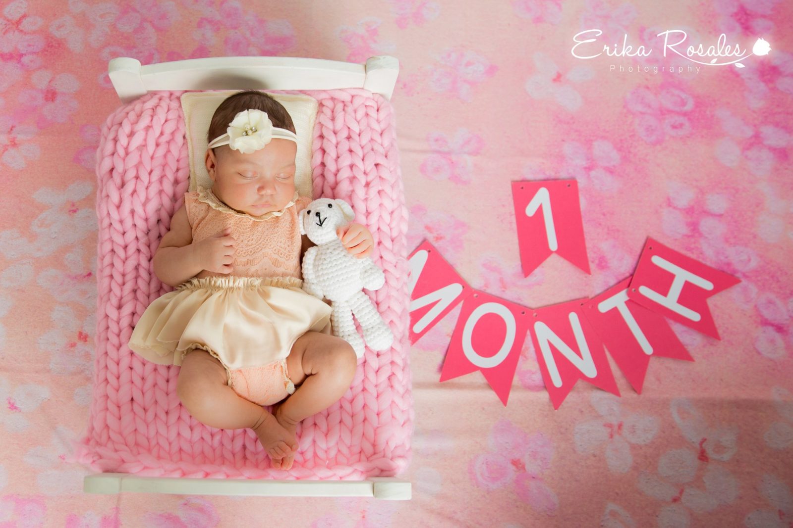 Erika Rosales Houston | Newborn-Smash Cake Maternity Photographer