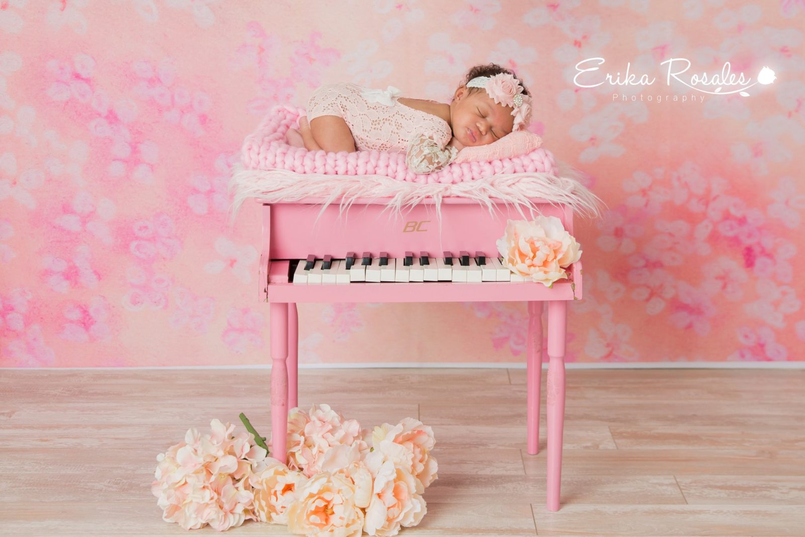 Erika Rosales Houston | Newborn-Smash Cake Maternity Photographer