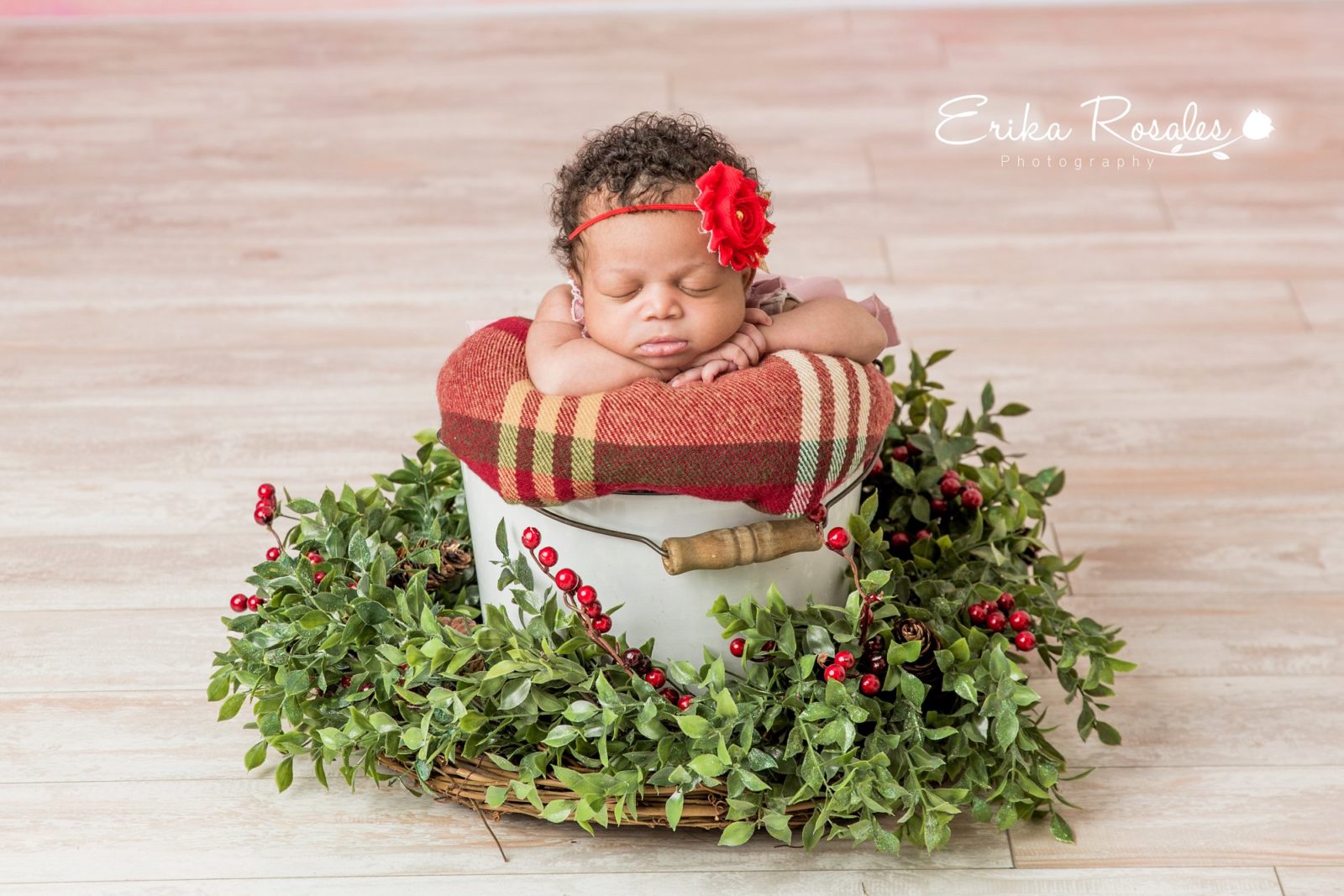 Erika Rosales New York Photo Studio | Family Portrait Studio in Bronx NY