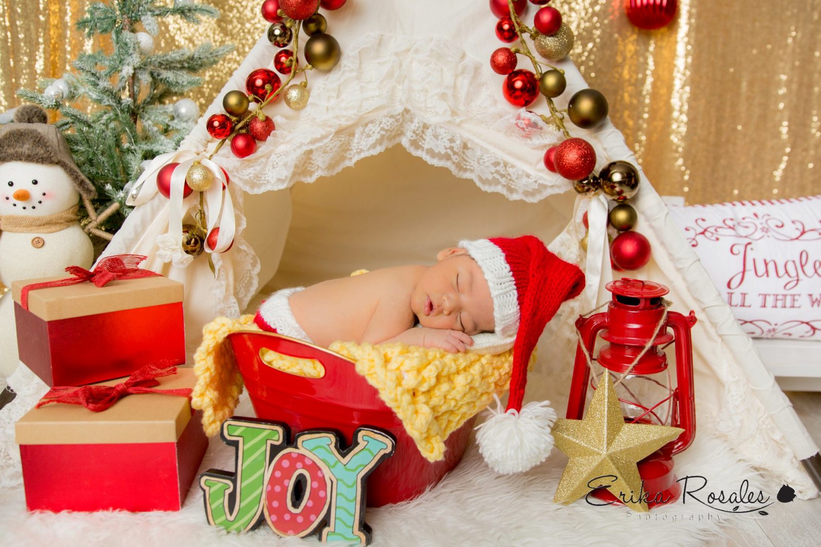 Erika Rosales Houston | Newborn-Smash Cake Maternity Photographer
