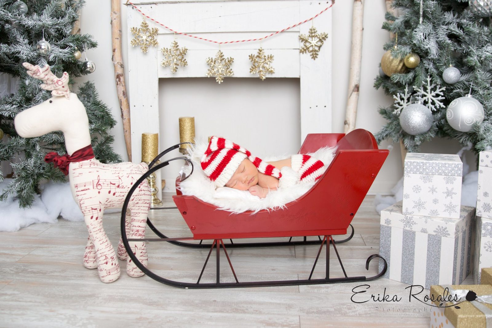 Erika Rosales Houston | Newborn-Smash Cake Maternity Photographer