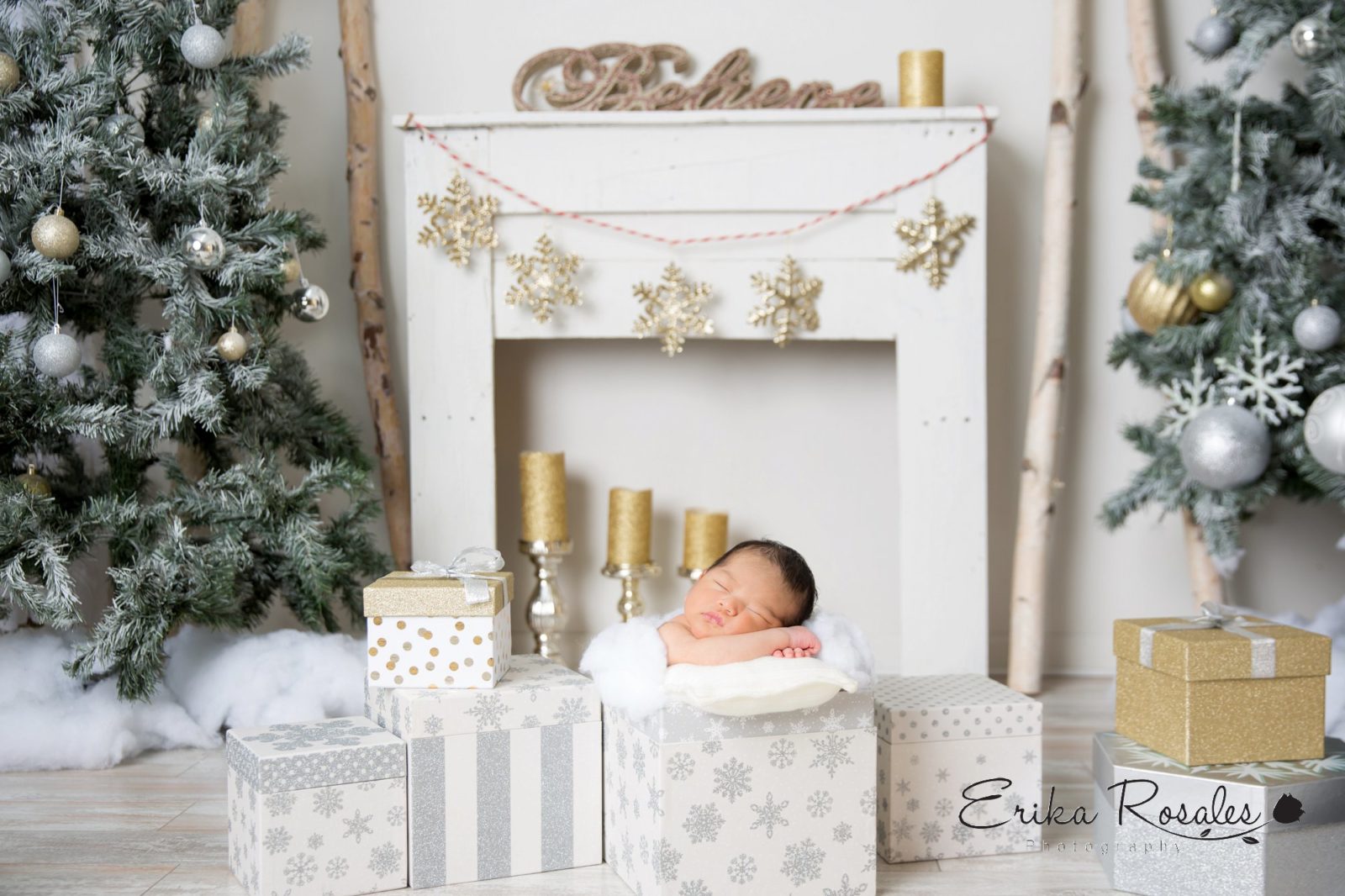 Erika Rosales New York Photo Studio | Family Portrait Studio in Bronx NY