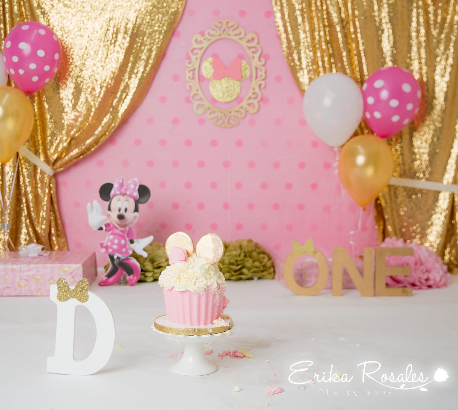 Erika Rosales Houston | Newborn-Smash Cake Maternity Photographer