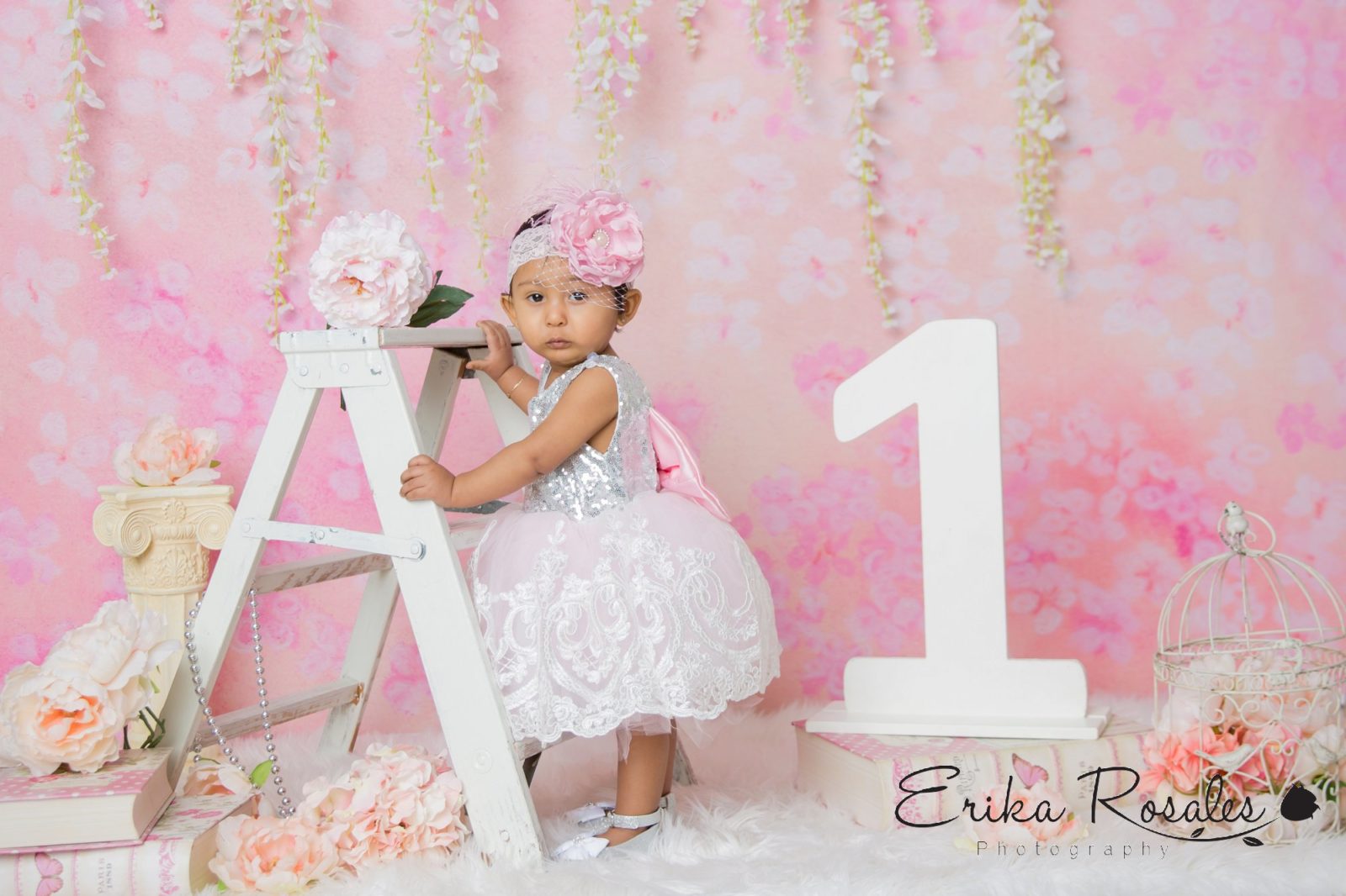 Erika Rosales New York Photo Studio | Family Portrait Studio in Bronx NY