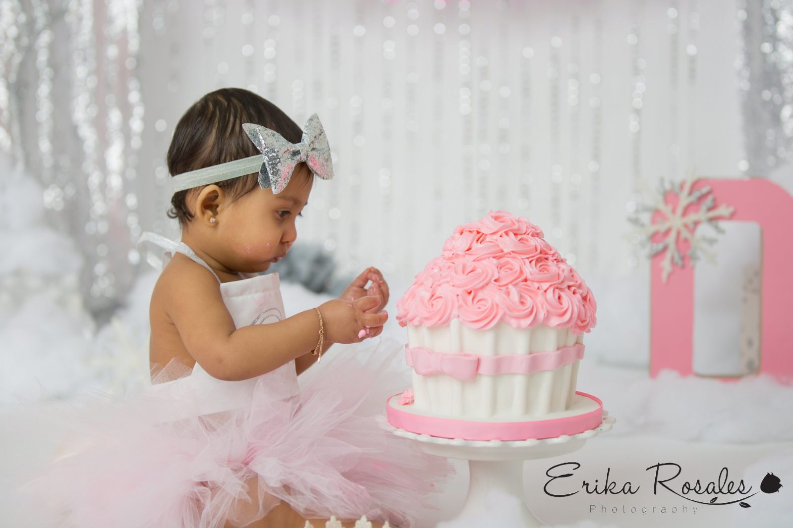 Erika Rosales Houston | Newborn-Smash Cake Maternity Photographer