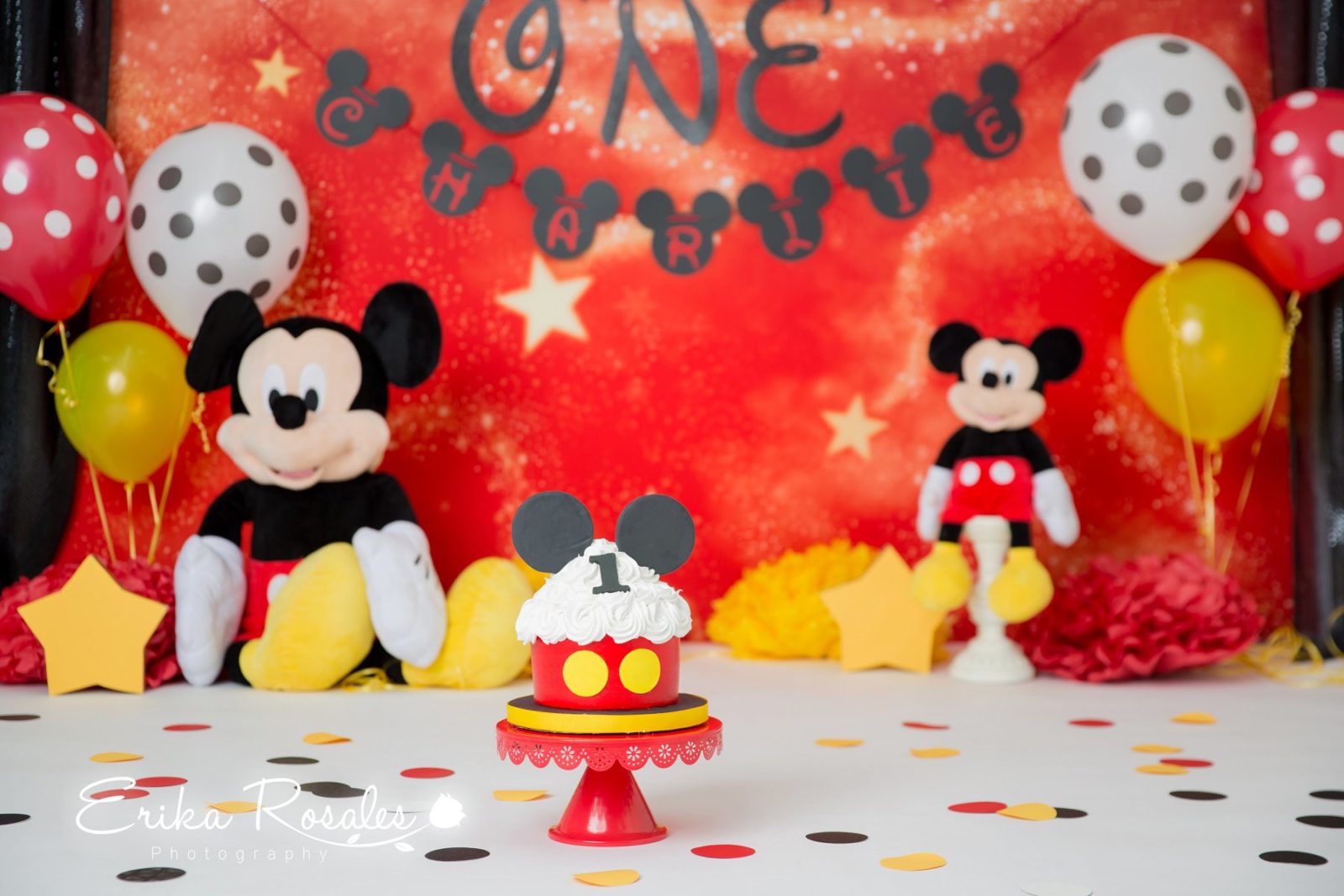 Erika Rosales Houston | Newborn-Smash Cake Maternity Photographer