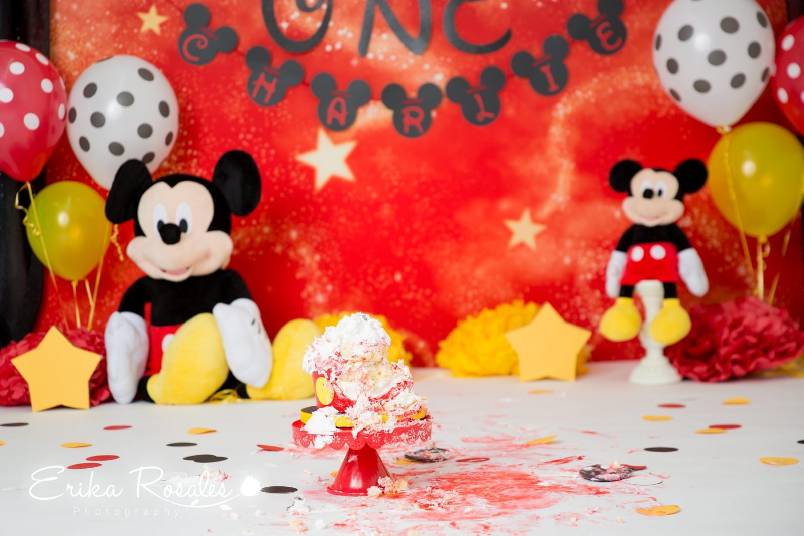 Erika Rosales Houston | Newborn-Smash Cake Maternity Photographer