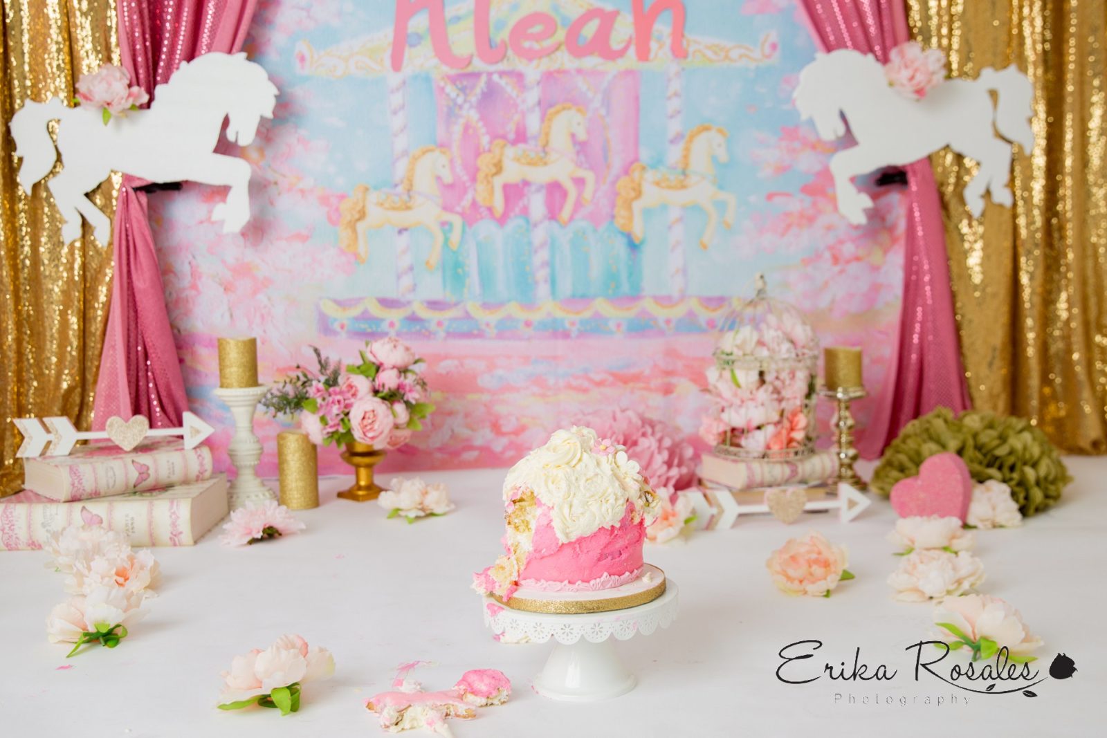 Erika Rosales Houston | Newborn-Smash Cake Maternity Photographer