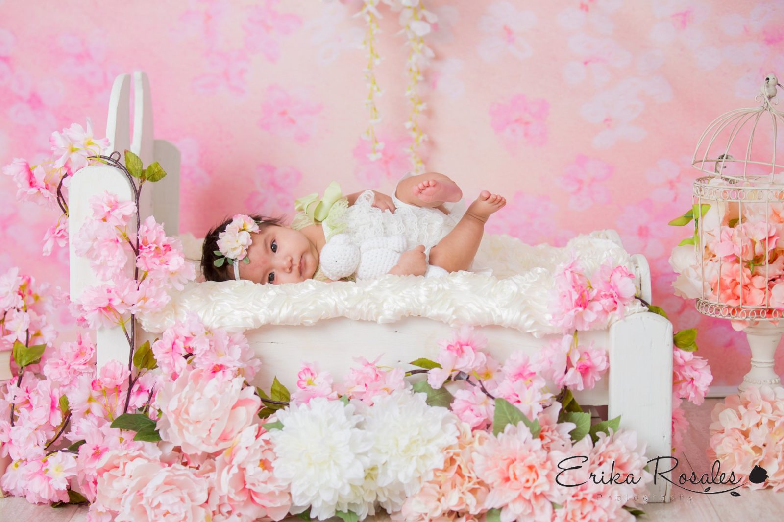 Erika Rosales Houston | Newborn-Smash Cake Maternity Photographer