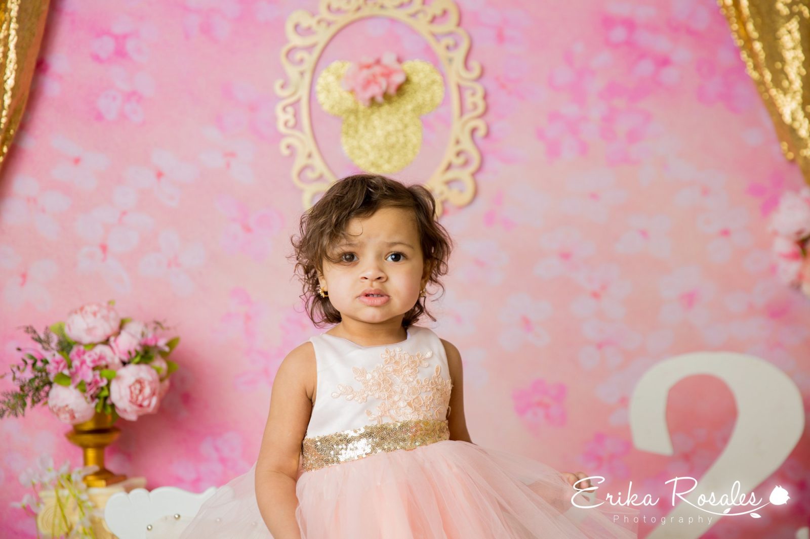 Erika Rosales Houston | Newborn-Smash Cake Maternity Photographer