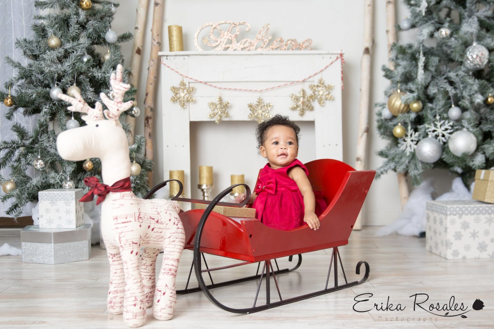 Erika Rosales New York Photo Studio | Family Portrait Studio in Bronx NY