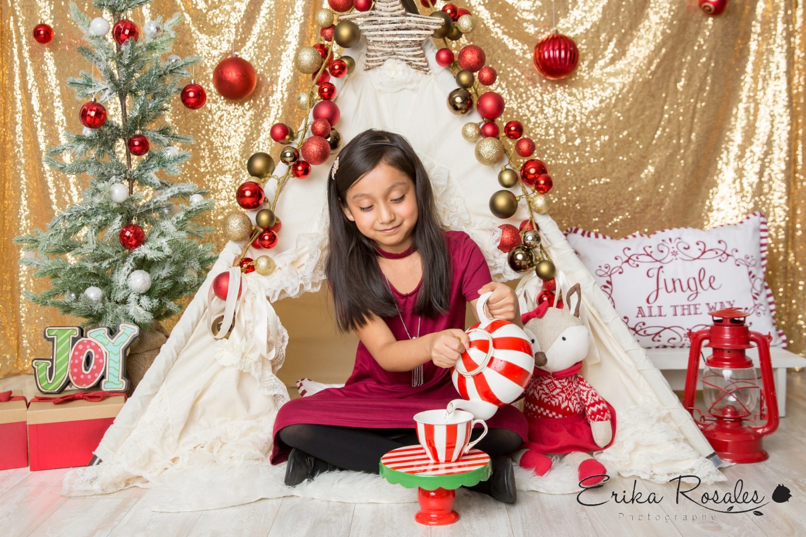 Erika Rosales New York Photo Studio | Family Portrait Studio in Bronx NY