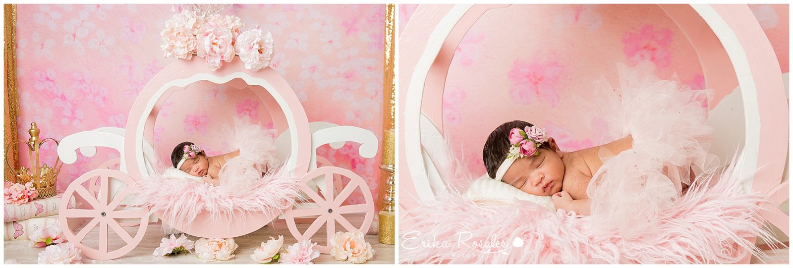 Erika Rosales New York Photo Studio | Family Portrait Studio in Bronx NY