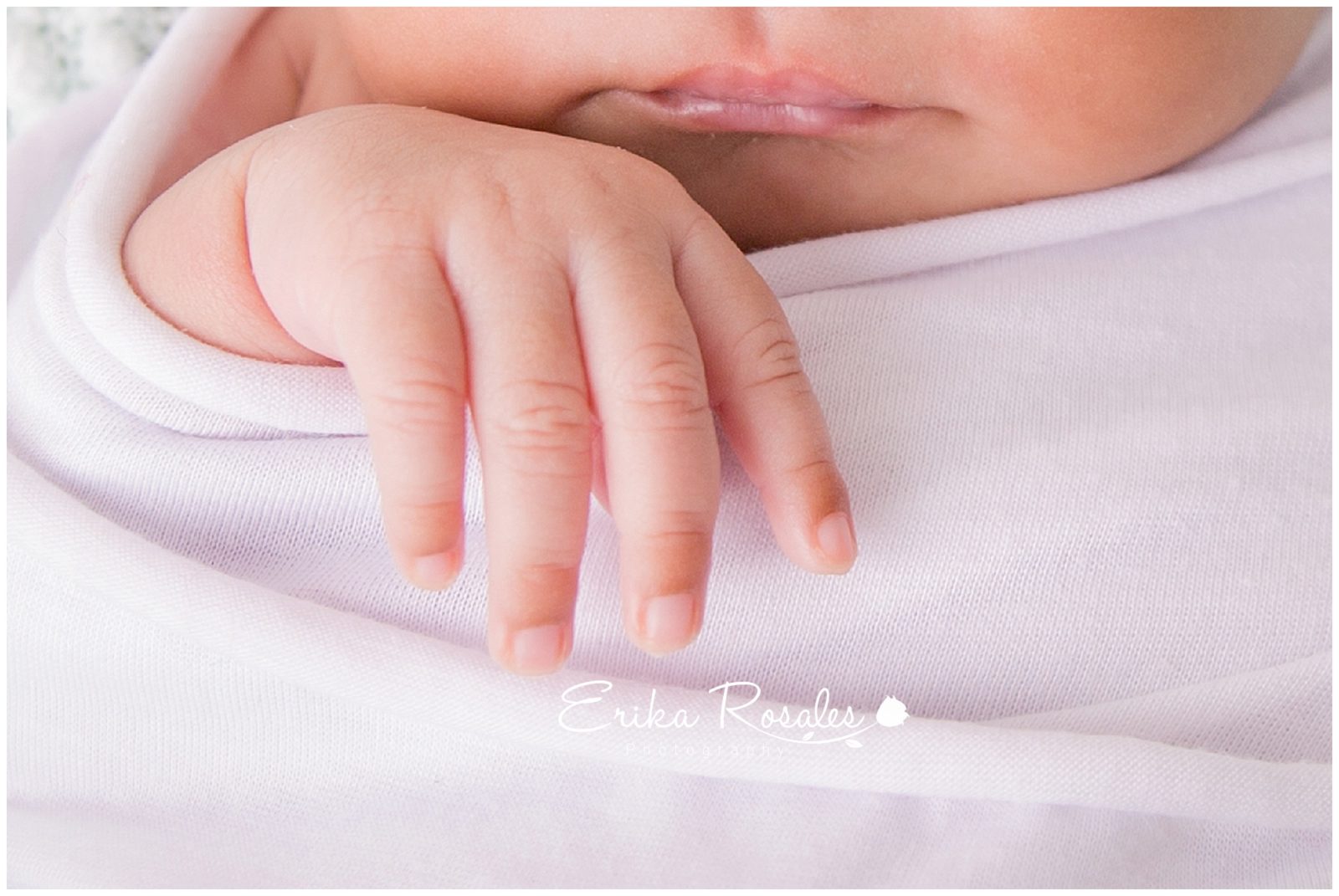 Erika Rosales New York Photo Studio | Family Portrait Studio in Bronx NY