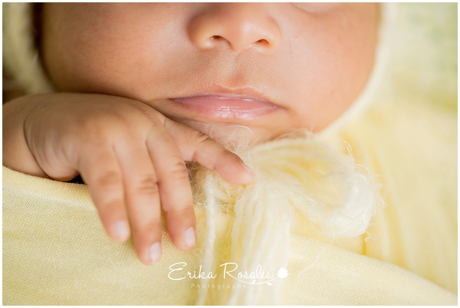 Erika Rosales New York Photo Studio | Family Portrait Studio in Bronx NY