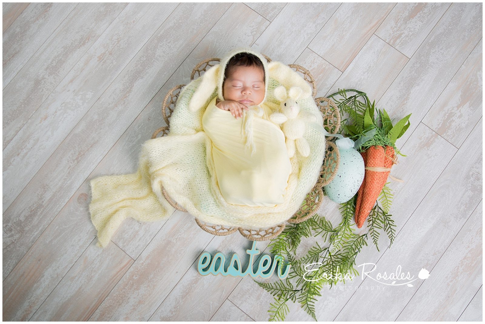 Erika Rosales Houston | Newborn-Smash Cake Maternity Photographer