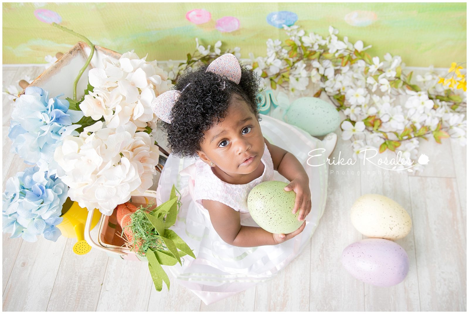 Erika Rosales New York Photo Studio | Family Portrait Studio in Bronx NY