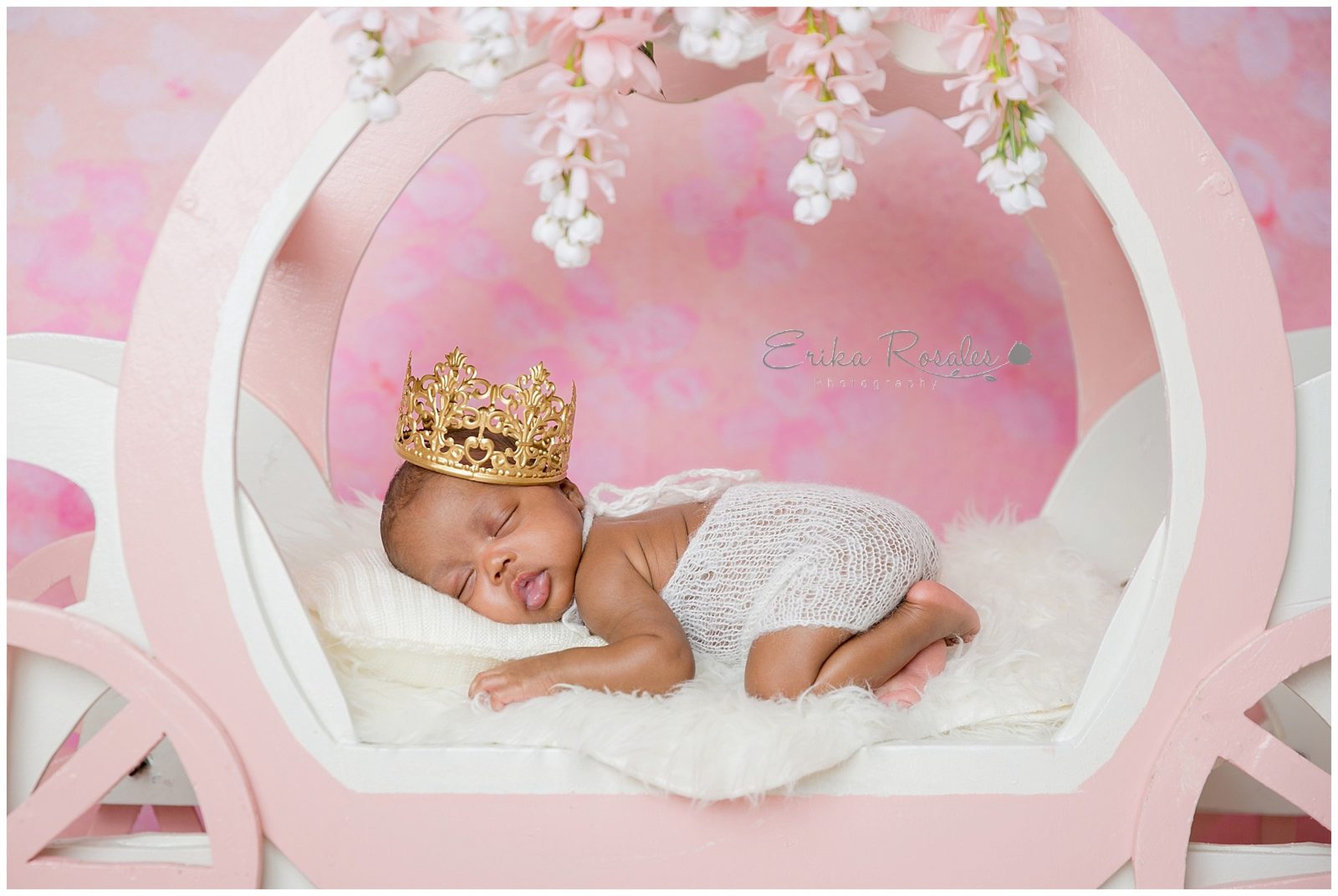 Erika Rosales Houston | Newborn-Smash Cake Maternity Photographer