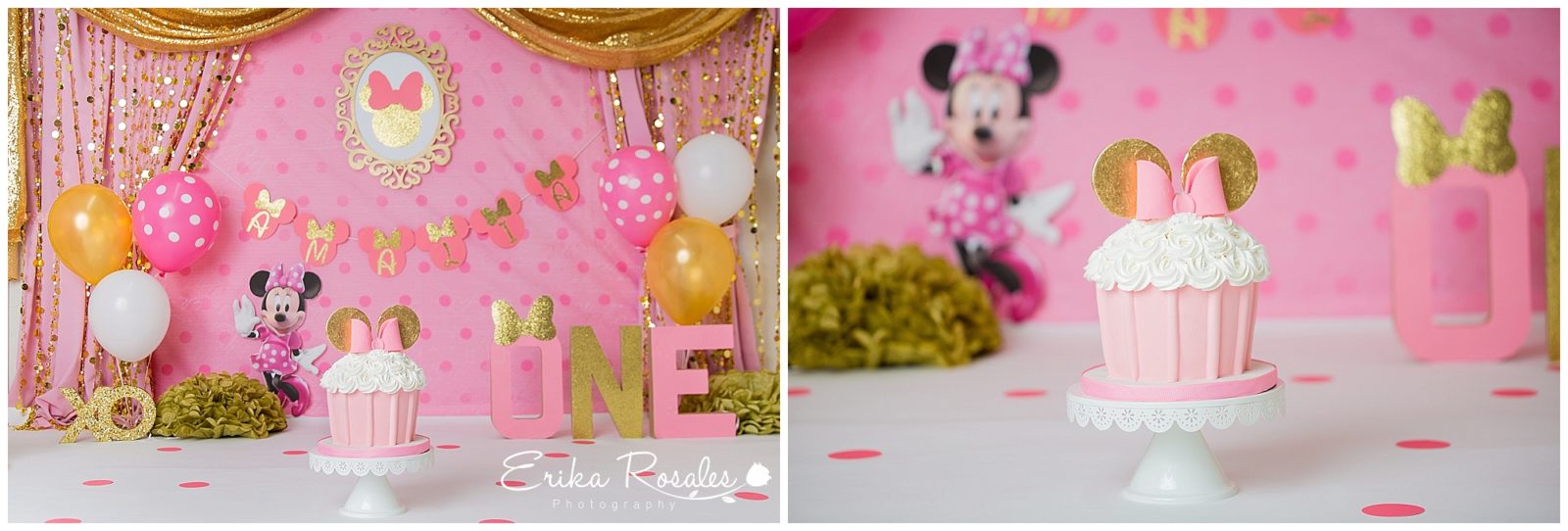 Erika Rosales Houston | Newborn-Smash Cake Maternity Photographer