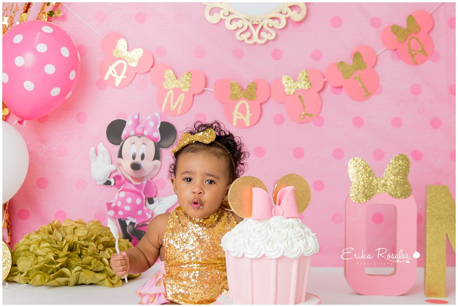 Erika Rosales Houston | Newborn-Smash Cake Maternity Photographer