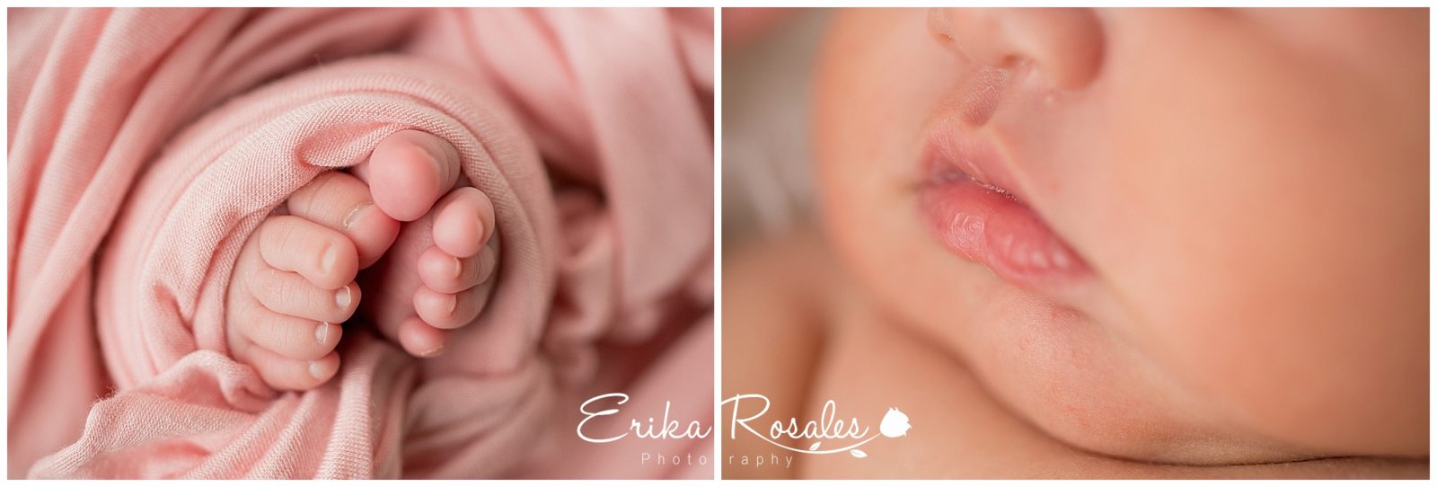 Erika Rosales New York Photo Studio | Family Portrait Studio in Bronx NY