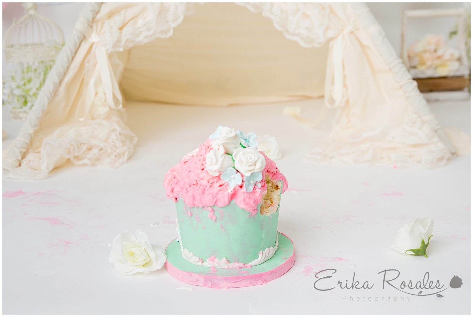 Erika Rosales Houston | Newborn-Smash Cake Maternity Photographer