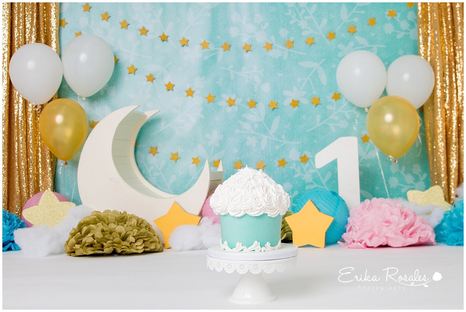 Erika Rosales Houston | Newborn-Smash Cake Maternity Photographer