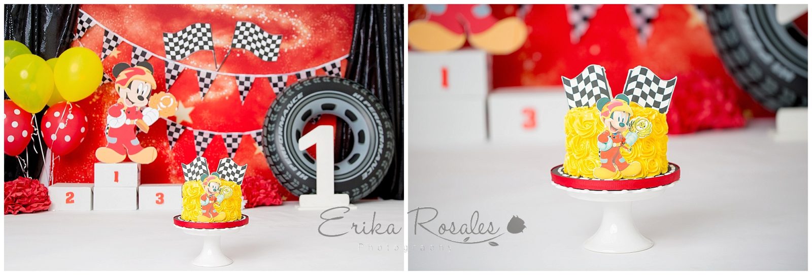 Erika Rosales Houston | Newborn-Smash Cake Maternity Photographer