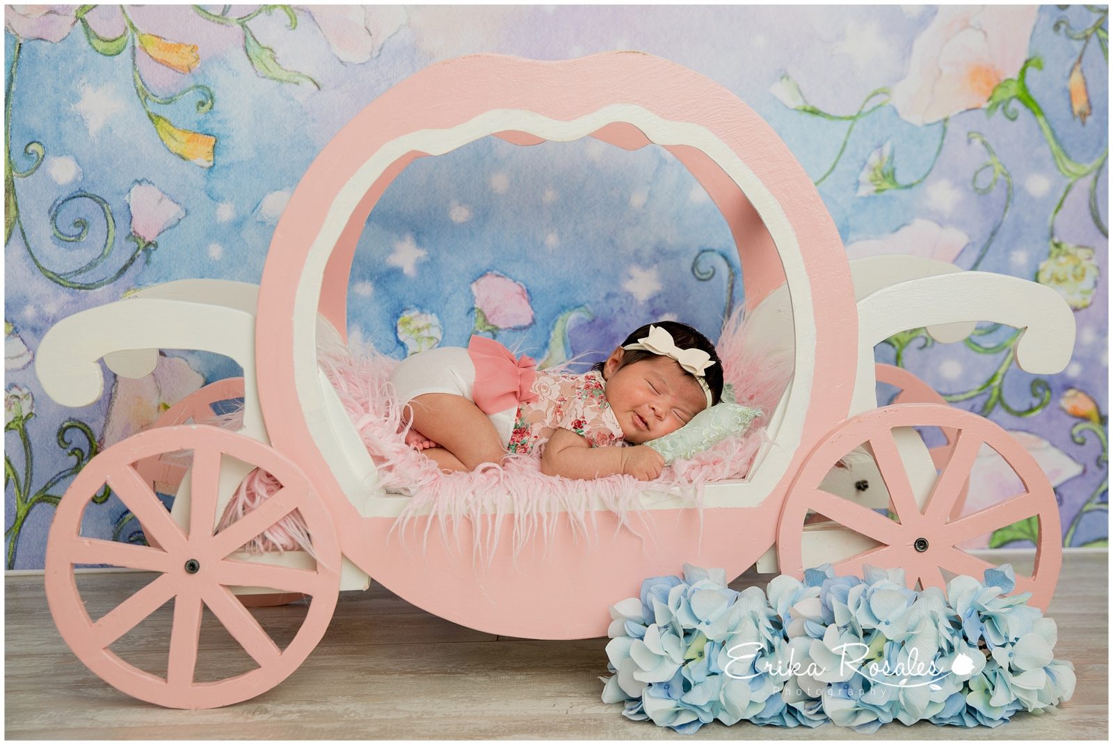 Erika Rosales New York Photo Studio | Family Portrait Studio in Bronx NY