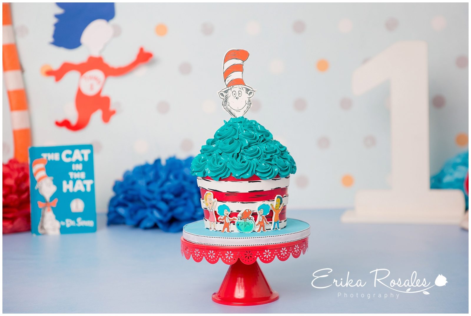 Erika Rosales Houston | Newborn-Smash Cake Maternity Photographer