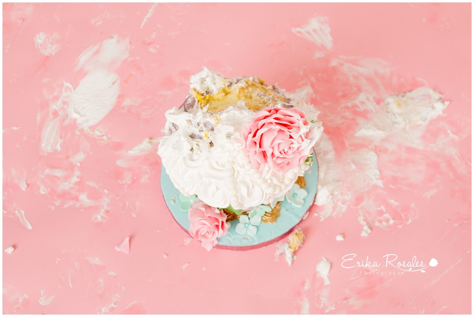 Erika Rosales Houston | Newborn-Smash Cake Maternity Photographer
