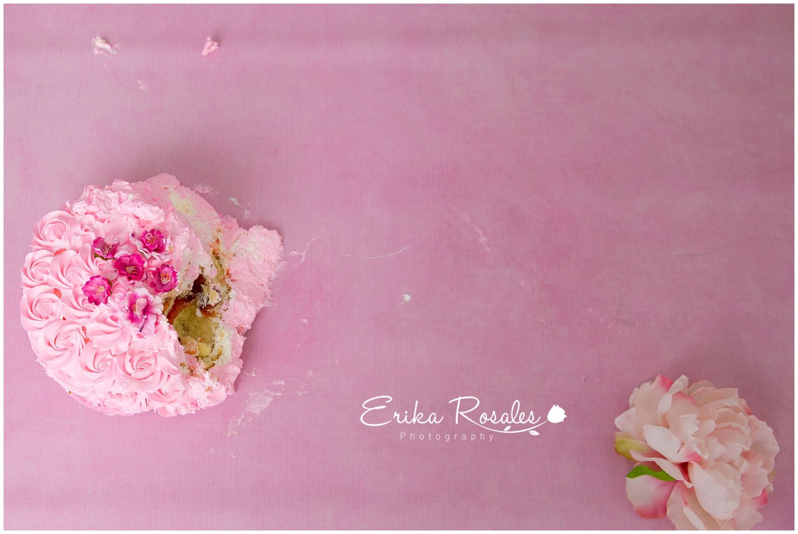 Erika Rosales Houston | Newborn-Smash Cake Maternity Photographer