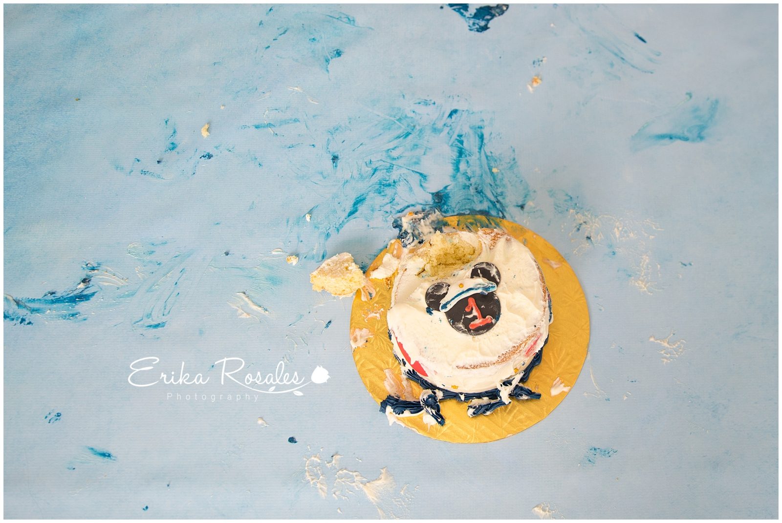 Erika Rosales Houston | Newborn-Smash Cake Maternity Photographer