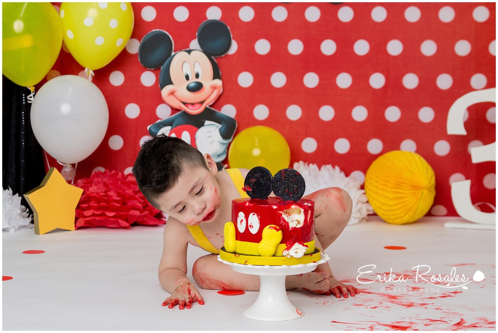 Erika Rosales Houston | Newborn-Smash Cake Maternity Photographer